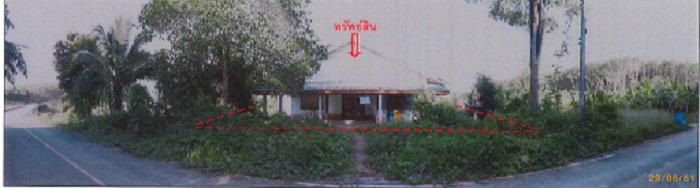 112/1  บางด้วน ปะเหลียน ตรัง