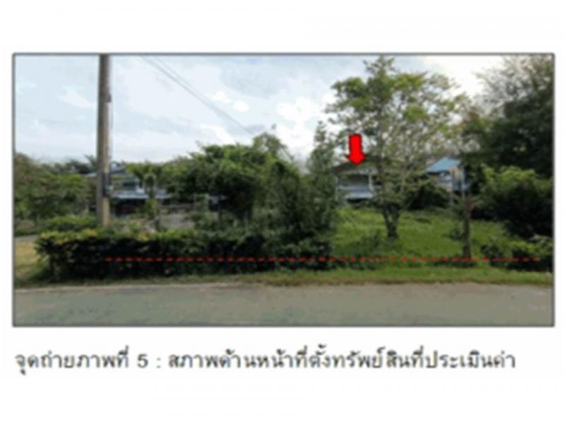 นาตาล่วง เมืองตรัง ตรัง