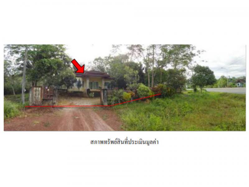 สุโสะ ปะเหลียน ตรัง