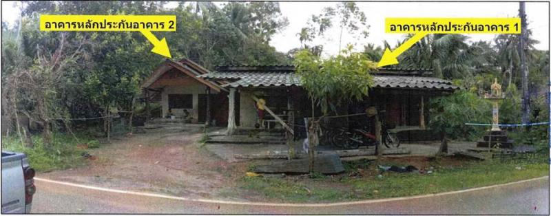 ช่อง นาโยง ตรัง
