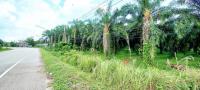 ขายที่ดินว่างเปล่า