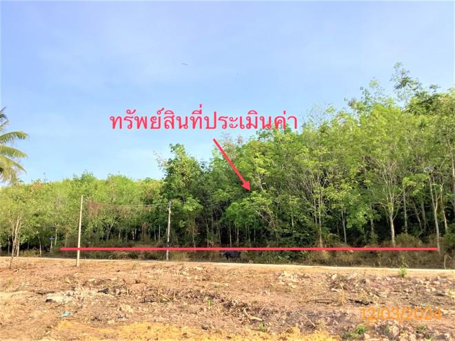 เกาะสุกร ปะเหลียน ตรัง