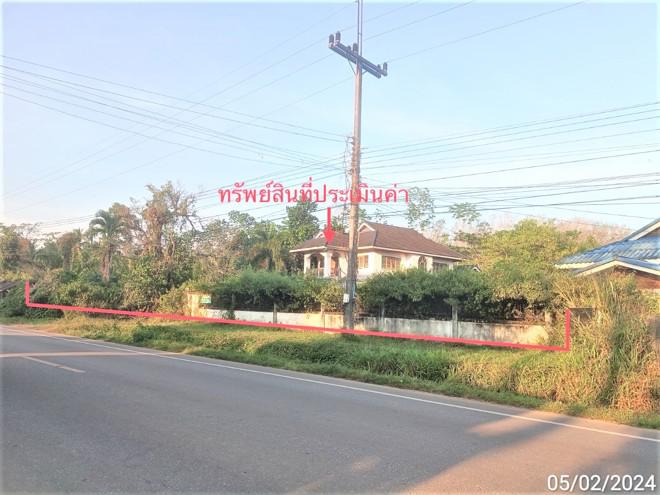 นาหมื่นศรี นาโยง ตรัง