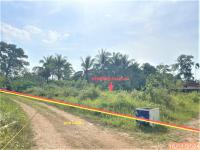 ขายบ้านเดี่ยว นาตาล่วง เมืองตรัง ตรัง ขนาด 4-1-25.20 ของ ธนาคารกสิกรไทย