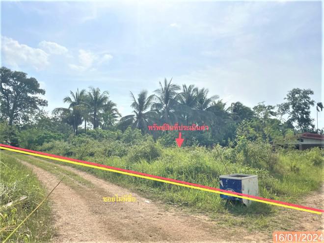 นาตาล่วง เมืองตรัง ตรัง