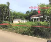 ขายบ้านเดี่ยว บ้านนา ปะเหลียน ตรัง ขนาด 1-0-33.00 ของ ธนาคารกสิกรไทย