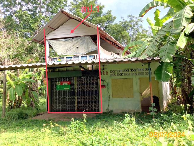 นาตาล่วง เมืองตรัง ตรัง