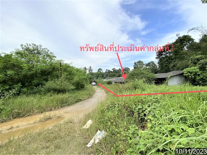 นาตาล่วง เมืองตรัง ตรัง
