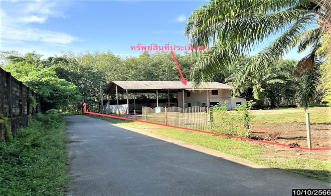 เขาขาว ห้วยยอด ตรัง